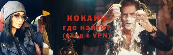 гидра Алексин