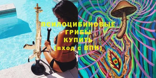 a pvp Алзамай